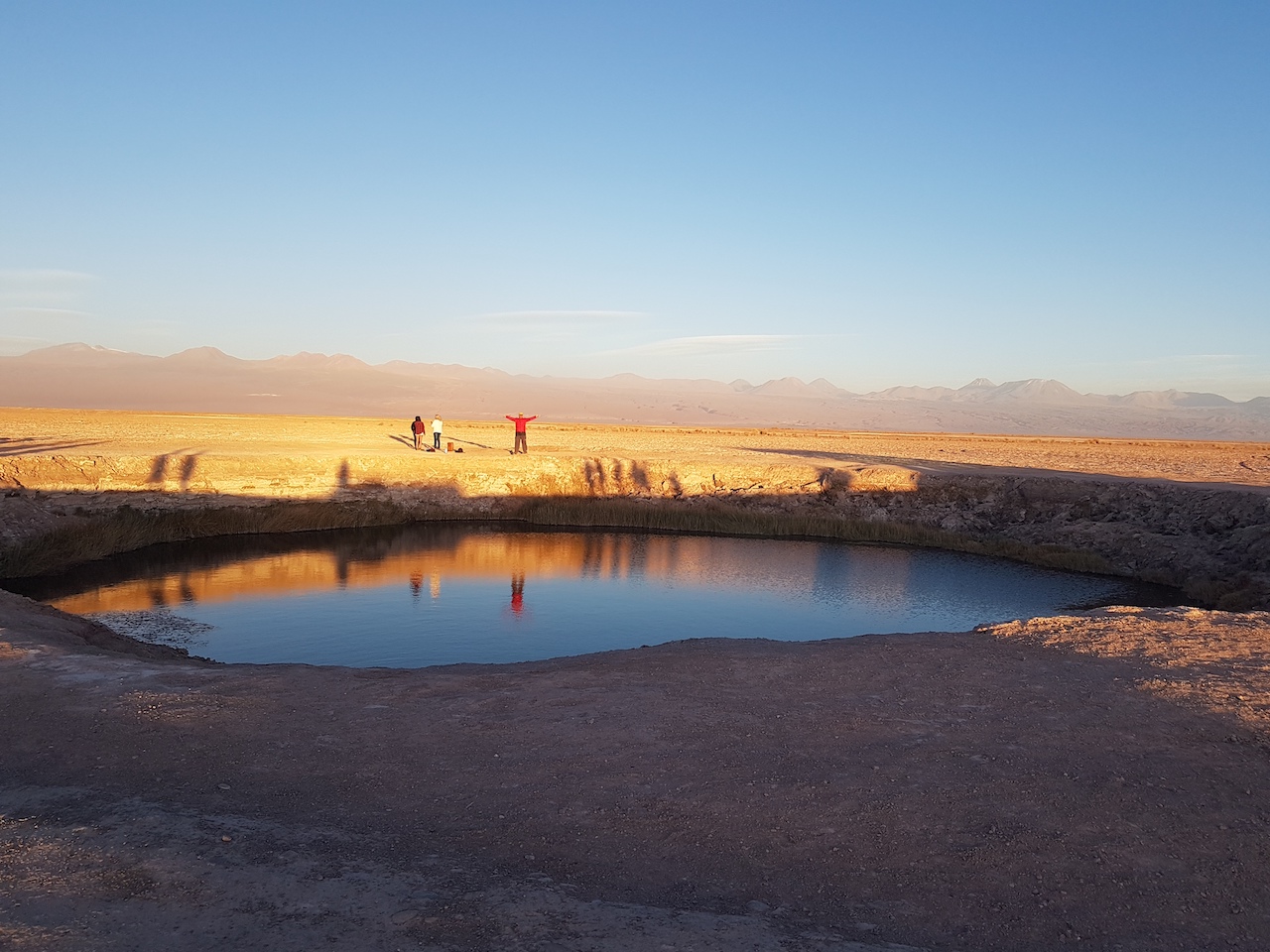 salar de ojojs